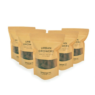 Odlingsplugg 75st - Paketpris